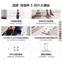 HUAWEI 华为 智能体脂秤3WiFi&蓝牙双连接13/14项身体数据蓝牙版健身必备精准测量塑形减脂小物称重