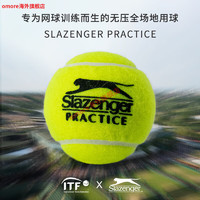 Slazenger 史莱辛格 网球整箱温网澳网法网比赛网球训练球24罐整箱 史莱辛格30粒散装训练球/343804