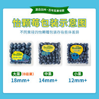 88VIP：88VIP：怡颗莓 Driscoll's 怡颗莓当季蓝莓4盒装 单盒125g新鲜水果好品牌新鲜