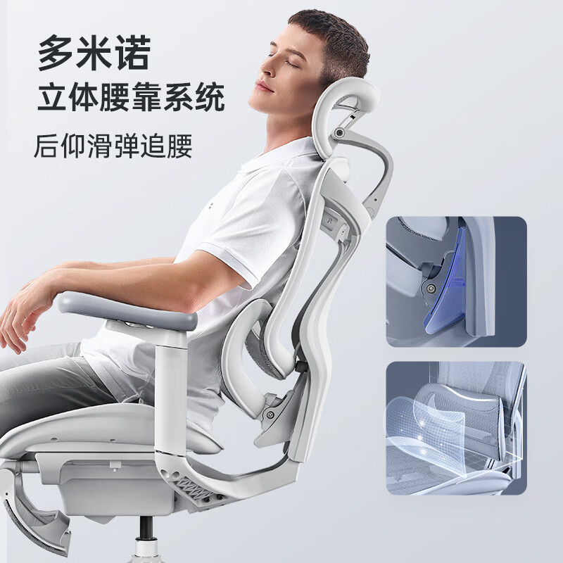 Doro C100人体工学椅 云白 4D扶手