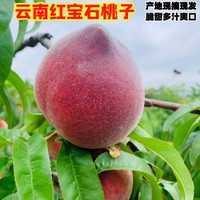 钱小二 云南红宝石桃子 水蜜桃 5斤