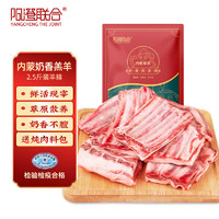YANGCHENG THE JOINT 阳澄联合 新鲜原切羊排2.5斤 内蒙古奶香羔羊 烧烤火锅食材