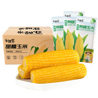 88VIP：采甜农新鲜真空包装黄糯玉米8支装2.2kg/箱