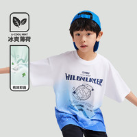 ANTA 安踏 商场同款|安踏儿童男童短袖T恤2024年夏季新款大童潮流运动上衣