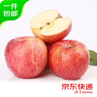 领鲜淘 洛川红富士苹果 12枚 果径75mm+ 新鲜水果生鲜脆甜陕西源头直发