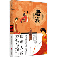 唐潮 唐朝人的家常与流行中国历史李永志 著