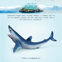 wanmole 玩模乐 仿真动物模型 仿真海洋动物模型 北极熊海龟企鹅蓝鲸抹香鲸玩具 灰鲸鲨