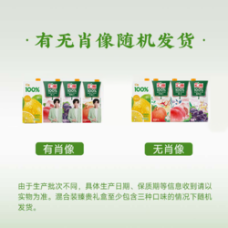 汇源 100%果汁 1L*5盒