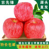 京先锋 烟台红富士苹果 2.5kg 一级果 单果200g以上 新鲜水果源头直发
