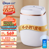 Deye 德业 DYD-E12A3 除湿机 12L/D