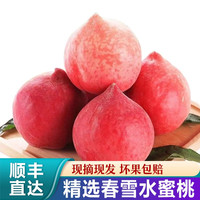 禾语鲜 当季新鲜桃子水蜜桃毛桃脆桃新鲜水果 精选2斤装
