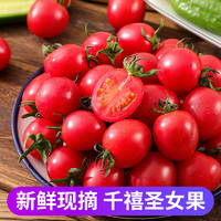 诱鲜地 千禧圣女果3斤 现摘小西红柿樱桃番茄 新鲜水果蔬菜源头直发 包邮