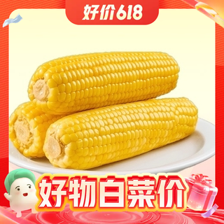 东北玉米黄糯鲜食玉米 220g*10穗