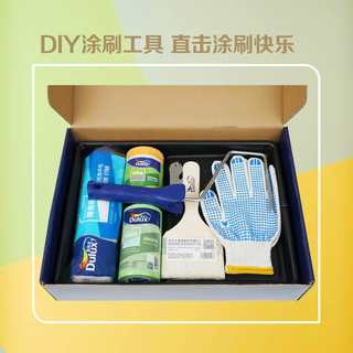 Dulux 多乐士 DIY限定分色空间涂刷套装