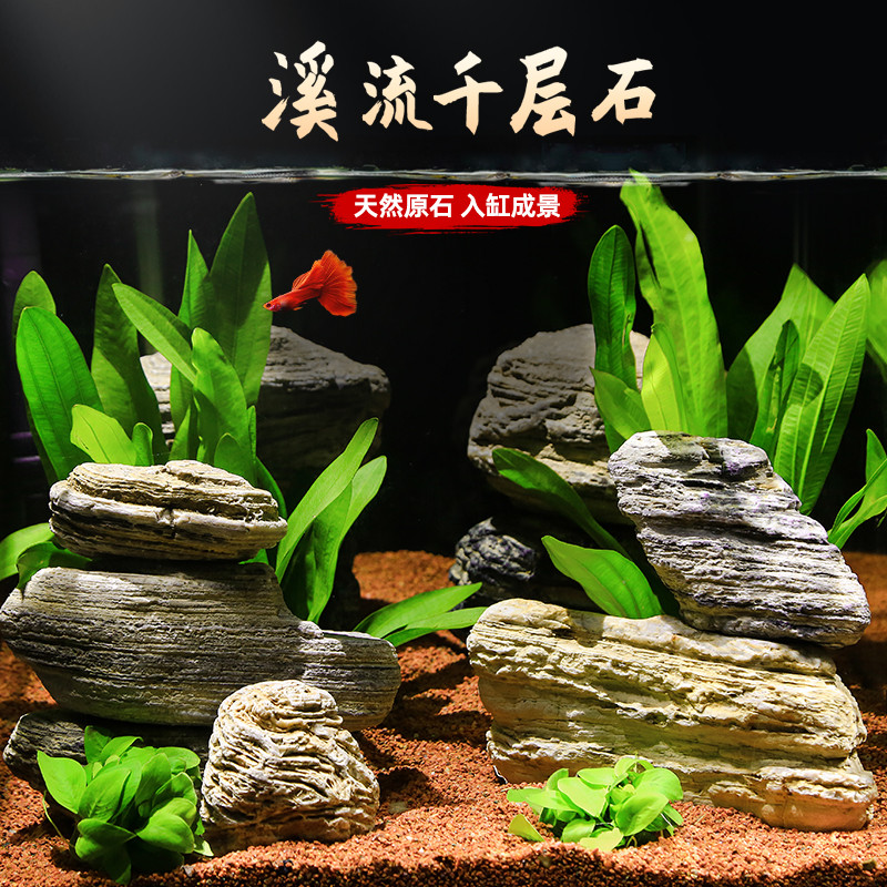 水草 Ao 疯狂水草crazy aquatic plants s 鱼缸造景溪流石底部砂石青龙石千层石