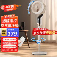 SKYWORTH 创维 电风扇空气循环扇轻音低噪卧室落地扇智能语音遥控家用立式大风力涡轮换气扇循环对流摇头节能风扇遥控款