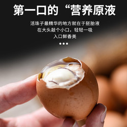 晨诚 活珠子13天新鲜麻辣鸡胚蛋五香毛鸡蛋活珠蛋10枚