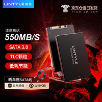 LINTYLE 凌态 SSD固态硬盘 256GB