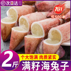皇波纳特满籽籽乌新鲜速冻带籽海兔子火锅食材笔管鱼软足类海鲜水产2