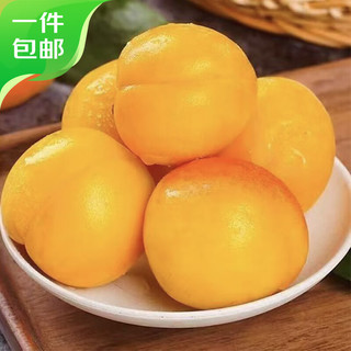 国产大黄杏 4.5斤装 单果50g+ 源头直发包邮