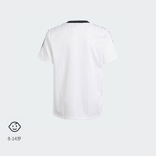 adidas经典运动上衣短袖T恤男大童儿童阿迪达斯三叶草IW1004 白 164CM