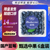 Mr.Seafood 京鲜生 国产蓝莓 6盒 约125g/盒 14mm+ 新鲜水果 源头直发 包邮