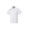 DESCENTE 迪桑特 Polo衫 男士商务通勤T恤 运动短袖 速干面料透气吸汗 DTM-4601B (WHT) 白色 L（中国码L)