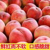 百亿补贴：万荣苹果 万荣鲜桃 水蜜桃 净重4.8斤彩箱 单果160g