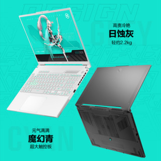 ASUS 华硕 天选5 Pro i7-13650HX/RTX4060/灰色 16G 内存1T高速固态硬盘 165HZ 2.5K/165HZ