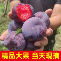 美得乐 红肉玫瑰李 5斤大果（单果60-90g）