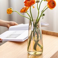 极度空间 玻璃花瓶插花瓶绿植物水培养生态瓶养花容器创意礼物书桌办公桌家居装饰摆件 琥珀色极光幻彩花瓶