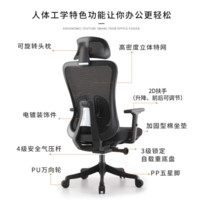 菲迪-至成 人體工學椅電腦椅子  F182-01-黑+海綿座墊