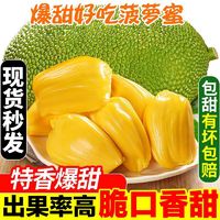海南三亚黄肉菠萝蜜19斤起一整个新鲜水果木波罗蜜整箱
