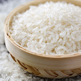 森稻福 五常大米原粮稻花香10斤长粒香米寒地黑土地东北大米现磨现发粳米