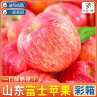 【御品一园】山东烟台苹果红富士精品彩箱新鲜水果苹果5斤