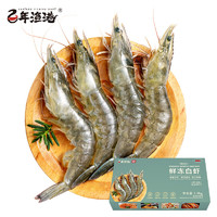 百年渔港 白虾 大虾  净重 1.8kg