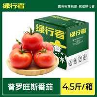 GREER 绿行者 普罗旺斯番茄4.5斤新鲜西红柿沙瓤多汁生吃自然熟水果