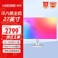 Hasee 神舟 新锐T75W一体机台式电脑商用办公27白色 27英寸一体机