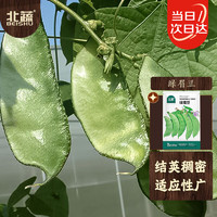 北蔬 眉豆种子绿扁豆角春四季播种阳台蔬菜种籽 北蔬绿眉豆种子30g
