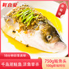 鲜喜爱藤椒鱼头850g（含藤椒料包）千岛湖鲢鱼头 方便菜 生鲜