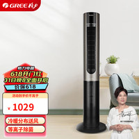 格力（GREE）冷暖两用塔扇家用电风扇冷暖风机摇头无叶风扇 等离子除菌 FL-1001RBag(黑+银)【ZMD安心系列】