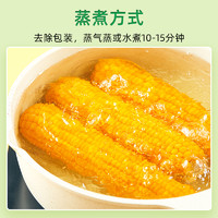 !十月稻田黄糯玉米220g*8玉米早餐粗粮低脂粘黏甜软新鲜苞米
