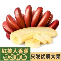 鑫果滋 红美人香蕉 国产香蕉福建漳州红皮小米蕉苹果芭蕉孕妇新鲜水果 3斤 广西南宁