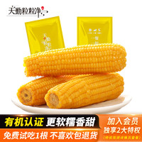 天勤粒粒净 黄糯玉米2023年新玉米有机玉米新鲜甜粘 真空包装 8支*200g