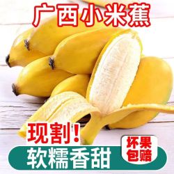 rongnuan融暖广西小米蕉香蕉整箱9斤装芭蕉大香蕉批发小米蕉9斤装
