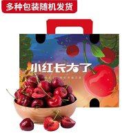Mr.Seafood 京鮮生 大連美早櫻桃 車厘子JJ級 2kg禮盒裝 單果10g+ 新鮮水果禮盒