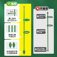 醉花 植物防倒伏支架30cm送4个卡扣+2个地插
