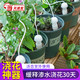 DEEPBANG 深邦 花园浇花神器自动浇水器 【1件装】0.8米（实发2个）