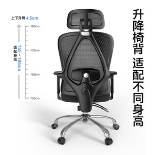 撑腰椅M60人体工学椅电脑椅办公椅可躺椅家用学习椅 椅子久坐舒服 升降扶手+椅背可调