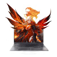 百亿补贴：机械革命 翼龙15 Pro 15.3英寸游戏本（R7-8845H、24GB、1TB、RTX4060）